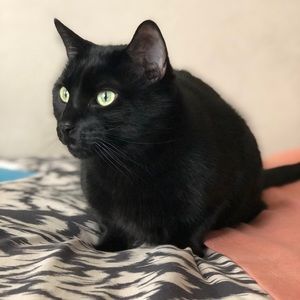 Meet your Posher, Zeina